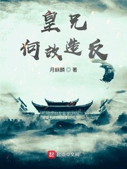 皇兄何故造反?封面