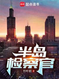 半岛检察官封面